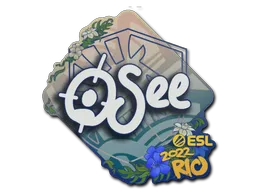印花 | oSee | 2022年里约热内卢锦标赛