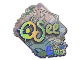 印花 | oSee（全息）| 2022年里约热内卢锦标赛