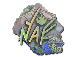 印花 | NAF(全息)| 2022年里约热内卢锦标赛