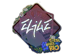 印花 | EliGE（闪耀）| 2022年里约热内卢锦标赛