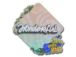 印花 | w0nderful | 2022年里约热内卢锦标赛