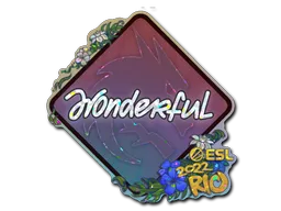 印花 | w0nderful（闪耀）| 2022年里约热内卢锦标赛