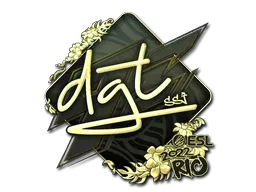 印花 | dgt（金色）| 2022年里约热内卢锦标赛