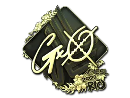 印花 | gxx-（金色）| 2022年里约热内卢锦标赛