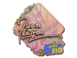 印花 | juanflatroo（全息） | 2022年里约热内卢锦标赛