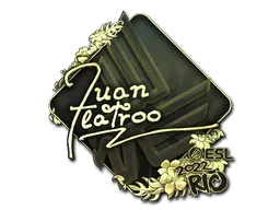 印花 | juanflatroo（金色） | 2022年里约热内卢锦标赛