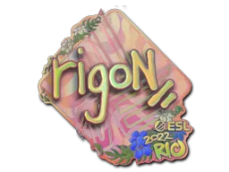 印花 | rigoN(全息)| 2022年里约热内卢锦标赛