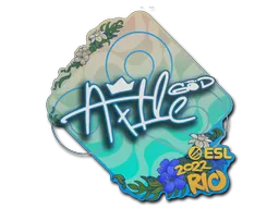 印花 | Ax1Le | 2022年里约热内卢锦标赛