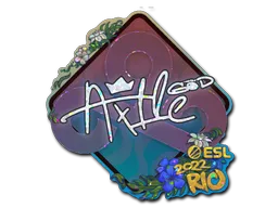 印花 | Ax1Le(闪耀)| 2022年里约热内卢锦标赛