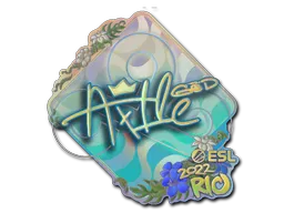 印花 | Ax1Le（全息）| 2022年里约热内卢锦标赛