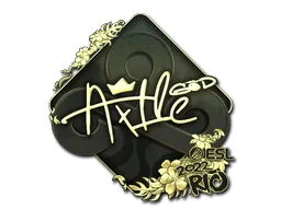 印花 | Ax1Le（金色）| 2022年里约热内卢锦标赛