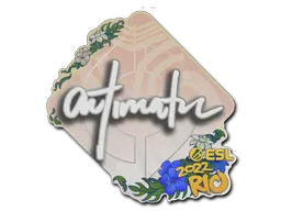 印花 | autimatic | 2022年里约热内卢锦标赛