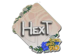印花 | HexT | 2022年里约热内卢锦标赛