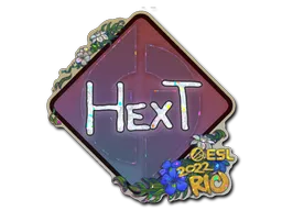 印花 | HexT(闪耀)| 2022年里约热内卢锦标赛
