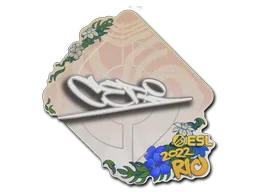 印花 | CeRq | 2022年里约热内卢锦标赛
