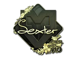 印花 | dexter(金色)| 2022年里约热内卢锦标赛