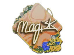 印花 | Magisk | 2022年里约热内卢锦标赛