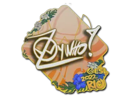 印花 | ZywOo | 2022年里约热内卢锦标赛