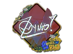 印花 | ZywOo(闪耀)| 2022年里约热内卢锦标赛