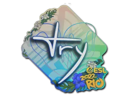 印花 | TRY | 2022年里约热内卢锦标赛