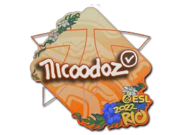 印花 | nicoodoz | 2022年里约热内卢锦标赛