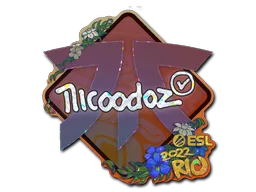 印花 | nicoodoz（闪耀）| 2022年里约热内卢锦标赛