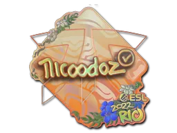 印花 | nicoodoz（全息）| 2022年里约热内卢锦标赛