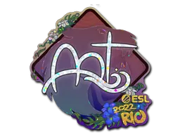 印花 | arT（闪耀）| 2022年里约热内卢锦标赛