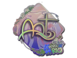 印花 | arT（全息）| 2022年里约热内卢锦标赛