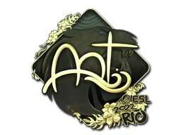印花 | arT（金色）| 2022年里约热内卢锦标赛