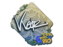 印花 | Keoz | 2022年里约热内卢锦标赛