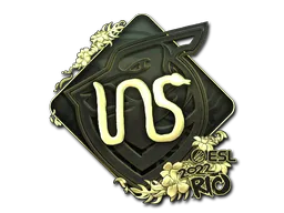 印花 | INS（金色）| 2022年里约热内卢锦标赛