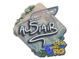 印花 | aliStair | 2022年里约热内卢锦标赛