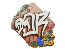 印花 | sk0R | 2022年里约热内卢锦标赛