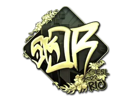 印花 | sk0R(金色)| 2022年里约热内卢锦标赛