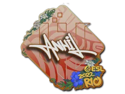 印花 | ANNIHILATION | 2022年里约热内卢锦标赛