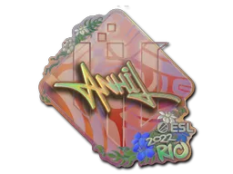 印花 | ANNIHILATION(全息)| 2022年里约热内卢锦标赛