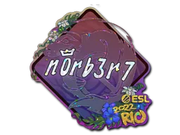 印花 | n0rb3r7（闪耀）| 2022年里约热内卢锦标赛