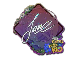 印花 | Jame（闪耀）| 2022年里约热内卢锦标赛