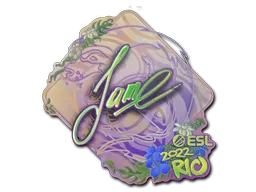印花 | Jame(全息)| 2022年里约热内卢锦标赛