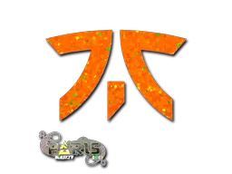 印花 | Fnatic（闪耀）| 2023年巴黎锦标赛