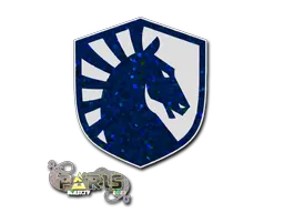 印花 | Team Liquid（闪耀）| 2023年巴黎锦标赛