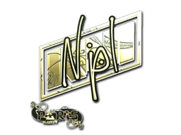 印花 | npl（金色）| 2023年巴黎锦标赛