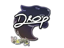 印花 | drop | 2023年巴黎锦标赛