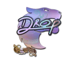 印花 | drop（全息）| 2023年巴黎锦标赛