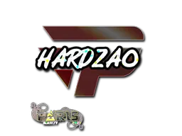 印花 | hardzao（闪耀）| 2023年巴黎锦标赛