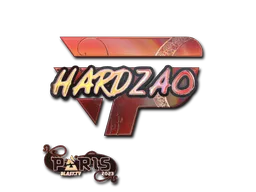 印花 | hardzao（全息）| 2023年巴黎锦标赛
