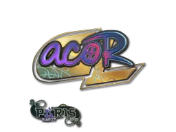 印花 | acoR(全息)| 2023年巴黎锦标赛