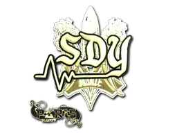 印花 | sdy(金色)| 2023年巴黎锦标赛