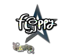 印花 | floppy(闪耀)| 2023年巴黎锦标赛